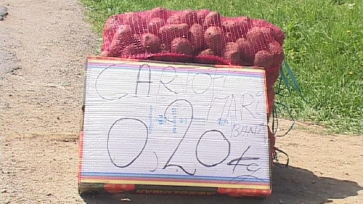 Victima importurilor. DISPERAT, un producător vinde kilogramul de cartofi cu doar 20 de bani